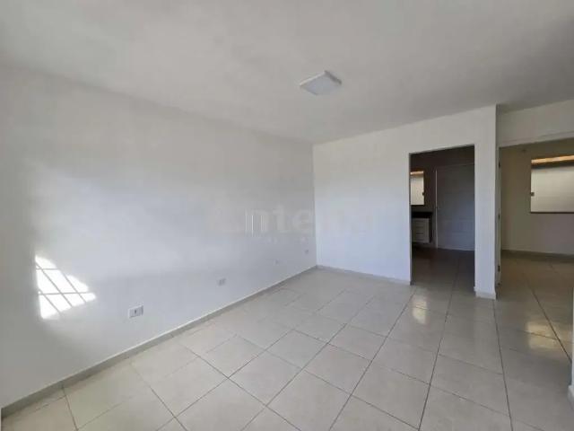 Casa / Sobrado para Locação em São José dos Pinhais/PR Roseira 2 Quartos
