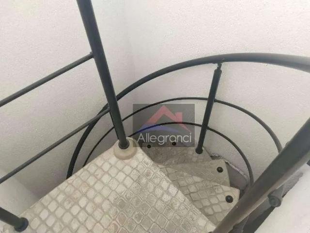 Casa / Sobrado para Locação em São Paulo/SP Belenzinho 4 Quartos