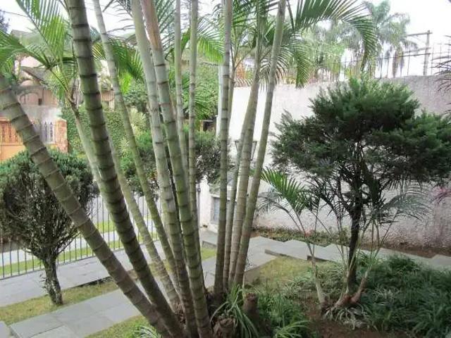Casa / Sobrado para Locação em São Paulo/SP Interlagos 4 Quartos