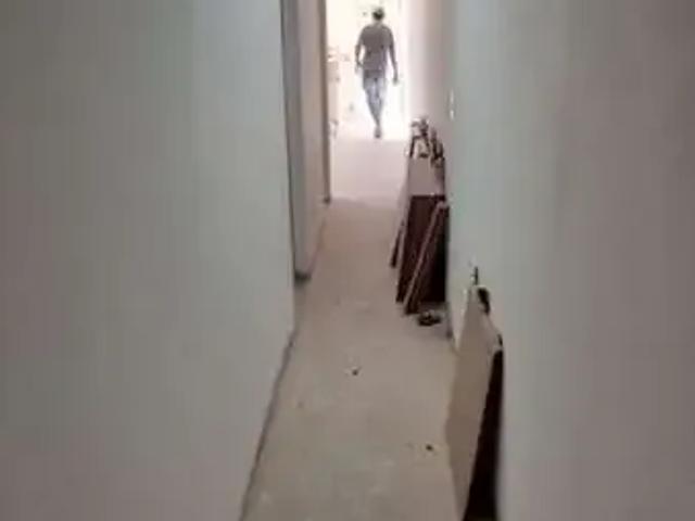 Casa / Sobrado para Locação em São Paulo/SP Jardim Alviverde 2 Quartos