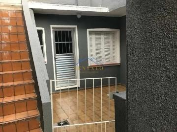 Rua Erva de São João, Parque Mikail, Guarulhos, São Paulo