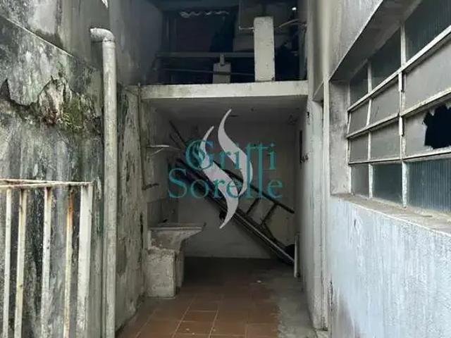 Casa / Sobrado para Locação em São Paulo/SP Jardim Petrópolis 3 Quartos