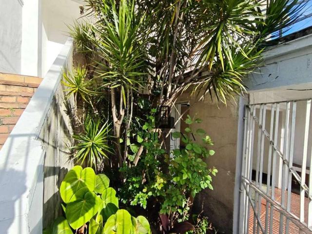 Casa / Sobrado para Locação em São Paulo/SP Mirandópolis 4 Quartos