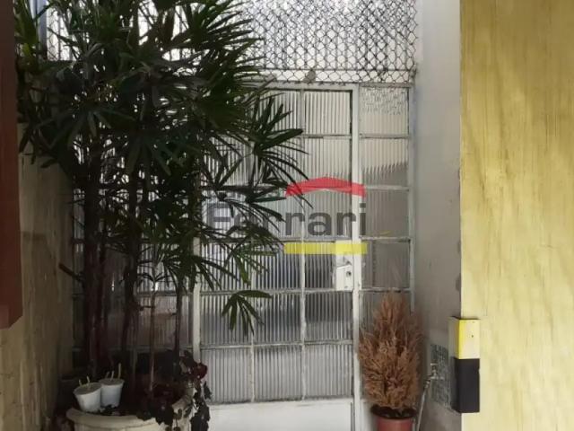 Casa / Sobrado para Locação em São Paulo/SP Santana 3 Quartos
