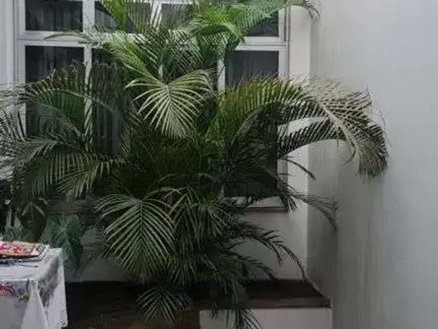 Casa / Sobrado para Locação em São Paulo/SP Planalto Paulista 7 Quartos