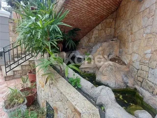 Casa / Sobrado para Locação em São Paulo/SP Vila Albertina 3 Quartos