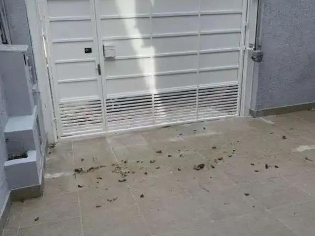 Casa / Sobrado para Locação em São Paulo/SP Vila Cordeiro 3 Quartos