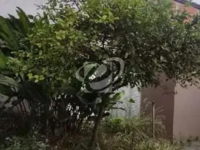 Casa / Sobrado para Locação em São Paulo/SP Vila Guarani 4 Quartos