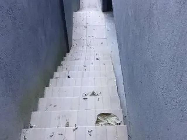 Casa / Sobrado para Locação em São Paulo/SP Vila Irmãos Arnoni 1 Quartos
