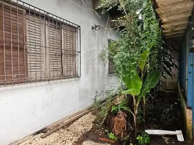 Casa / Sobrado para Locação em São Paulo/SP Vila Santo Antônio 3 Quartos