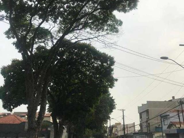 Casa / Sobrado para Locação em Santo André/SP Paraíso 1 Quartos