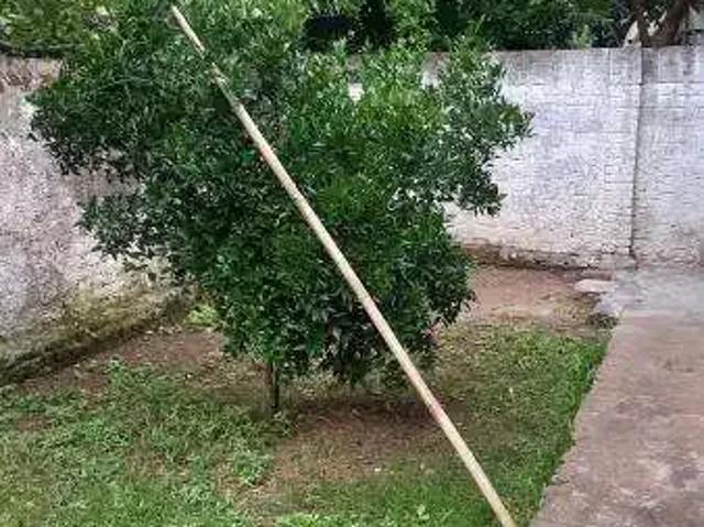 Casa / Sobrado para Locação em Santa Maria/RS Centro 2 Quartos
