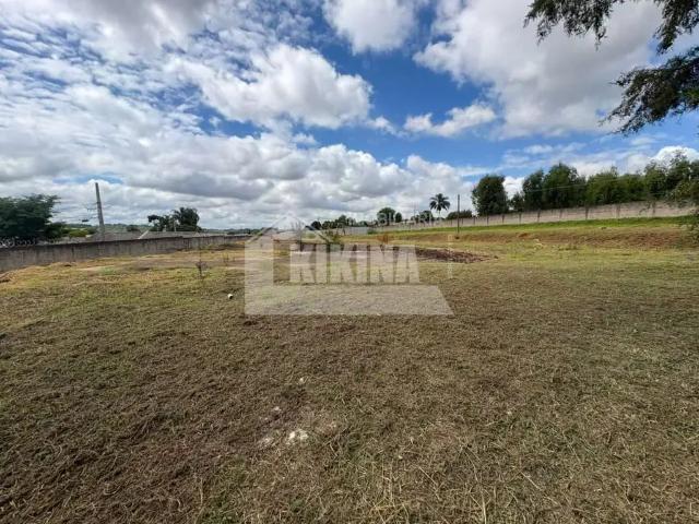 Casa / Sobrado para Locação em Ponta Grossa/PR Oficinas 3 Quartos