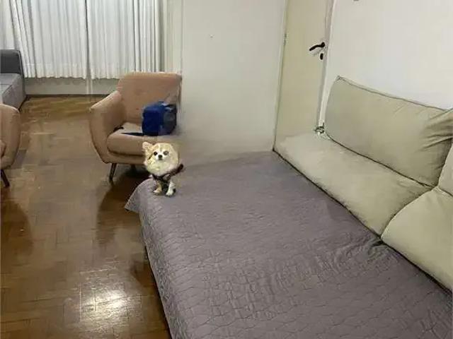 Casa / Sobrado para Locação em Porto Alegre/RS Auxiliadora 3 Quartos