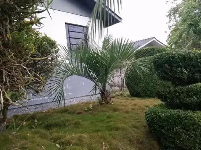 Casa / Sobrado para Locação em Palmeira/PR Centro 2 Quartos
