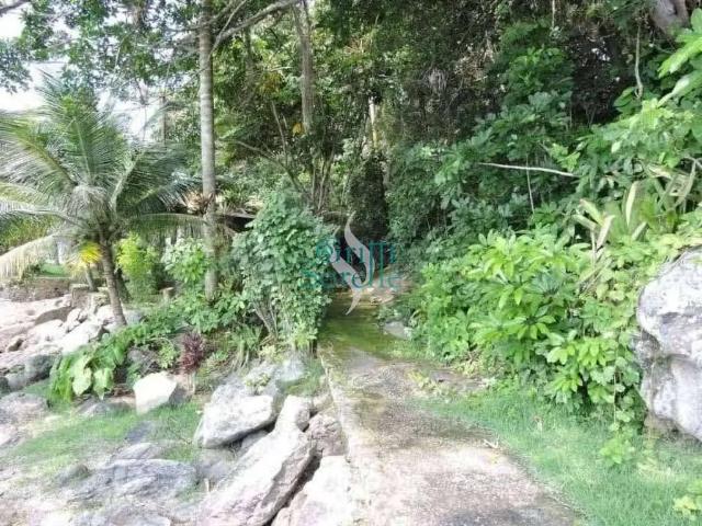 Casa / Sobrado para Locação em Paraty/RJ Ilha do Araujo 7 Quartos