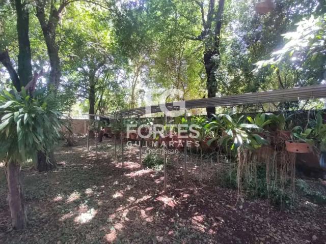 Casa / Sobrado para Locação em Ribeirão Preto/SP Jardim Recreio 3 Quartos