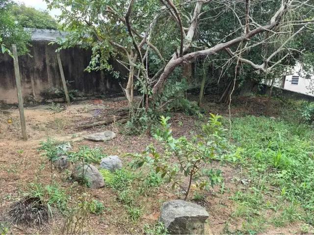 Casa / Sobrado para Locação em Rio de Janeiro/RJ Bancários 5 Quartos