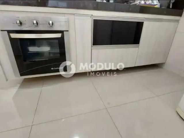 Casa / Sobrado para Locação em Uberlândia/MG Conjunto Segismundo Pereira 3 Quartos