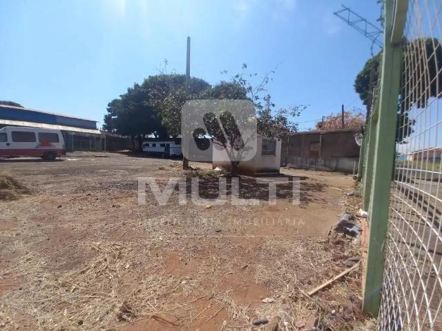 Casa / Sobrado para Locação em Uberlândia/MG Santa Mônica 1 Quartos