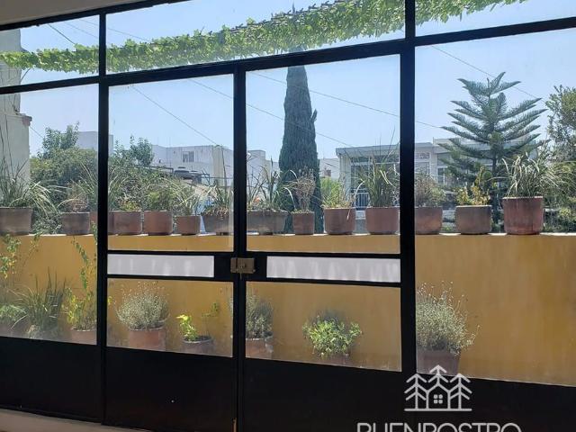 CASA SOLA EN EL CORAZÓN DE LA ROMA NORTE, CDMX