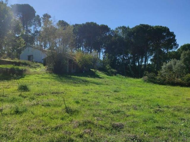 Casa T2 em Midões de 52,00 m²