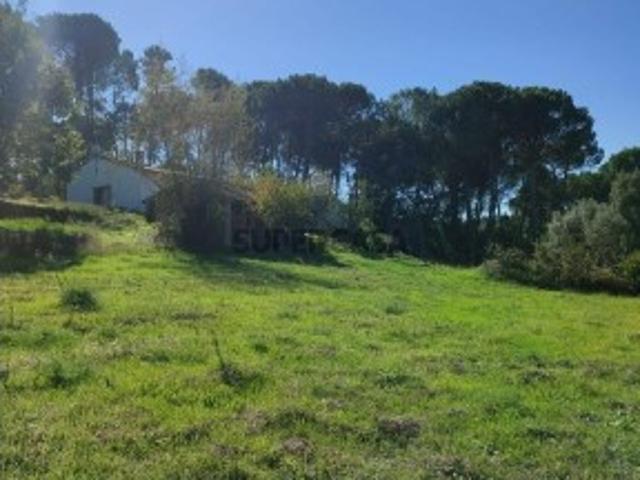 Casa T2 em Midões de 52,00 m²