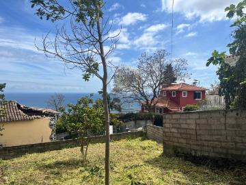 Casa T3 com anexo e terreno extra 167m² Imaculado Coração De Maria