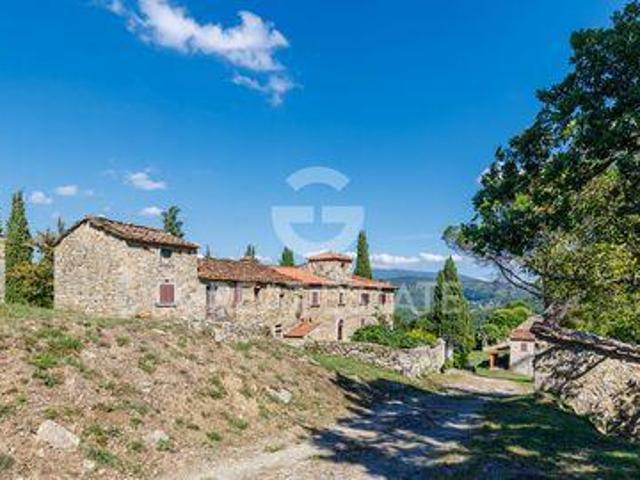 Casa Talla Arezzo DS102557242
