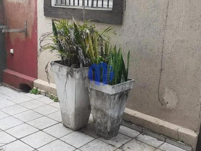 casa para reforma no miolo do Ipiranga na rua Lino Coutinho terreno 5.80x 30=174 metros