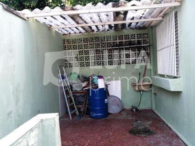 CASA TÉRREA COM 4 QUARTOS PARA VENDA, TUCURUVI, SÃO PAULO