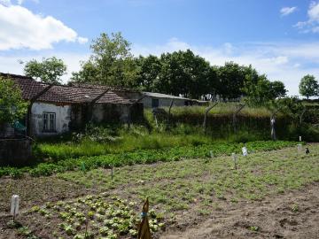 Argomil, Gouveias e Pomares, Concelho de Pinhel, Distrito de Guarda