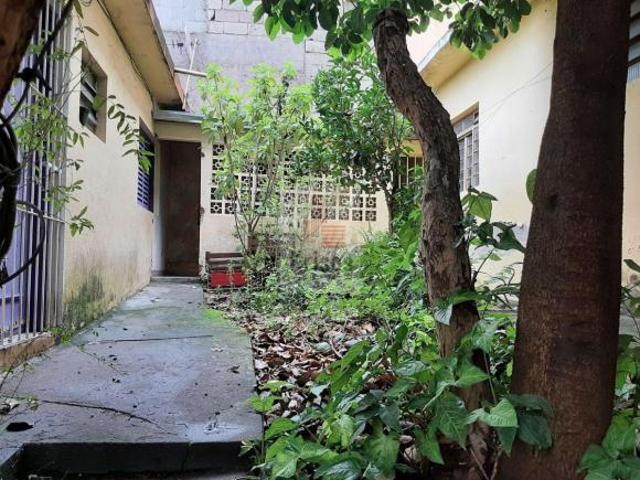 Casa Térrea com Edículas à Venda Uma Excelente Oportunidade!