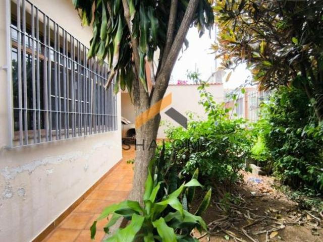 Casa Térrea com Potencial de Reforma na Vila Sônia 250m² de Terreno