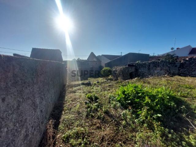 Ruina, Nave, Monchique