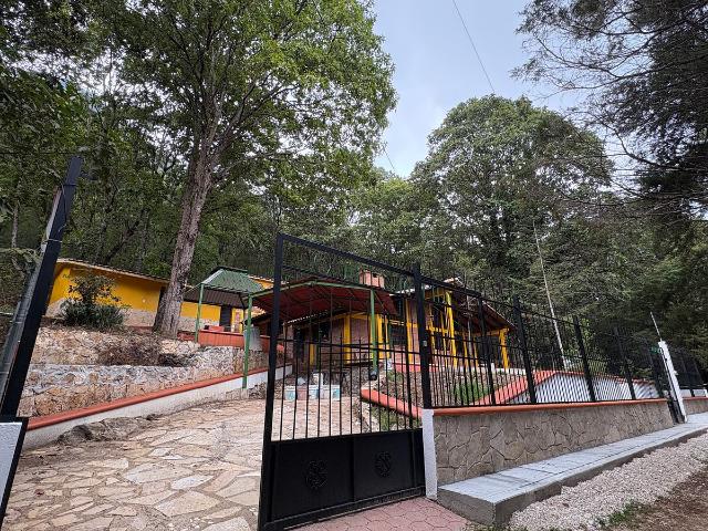Casa tipo Cabaña rodeada de vegetación dentro de la ciudad