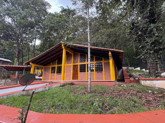 Casa tipo Cabaña rodeada de vegetación dentro de la ciudad