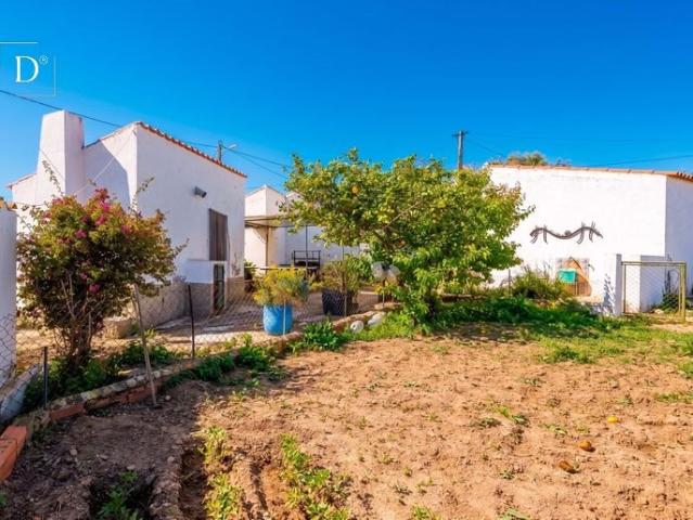 Casa típica Alentejana com 3 quartos e quintal 100m² São Miguel do Pinheiro, São Pedro do Solis e São Sebastião d