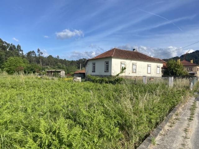 Casa típica Minhota com caniço e eira