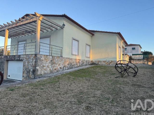 Casa tradicional T3 em Valado dos Frades de 563,00 m²
