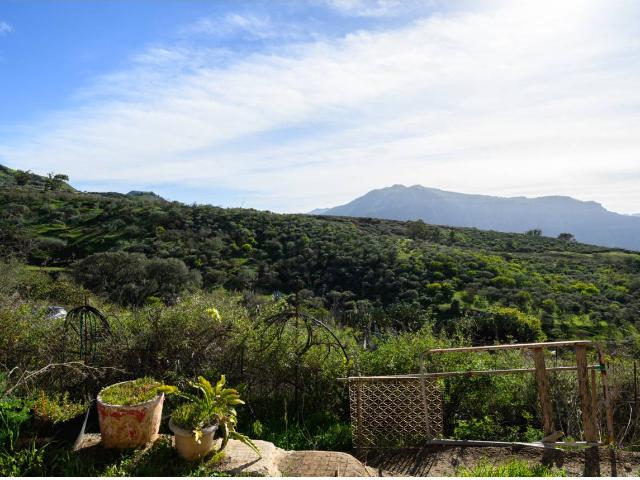 Casa unifamiliar en venta en Samarrita Gáldar