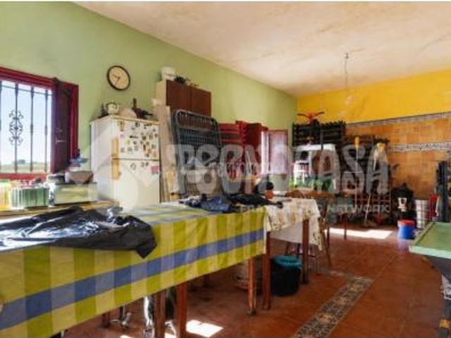 Casa unifamiliar Venta El Rosario, Camino Pringado