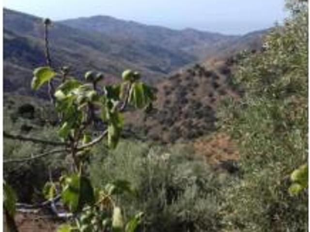 Casa Venta Málaga Capital, El Candado Camino de Olías Camino de los Montes