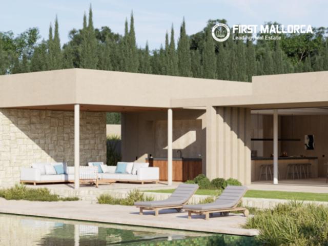 Casa Venta Monforte de Lemos, Vid