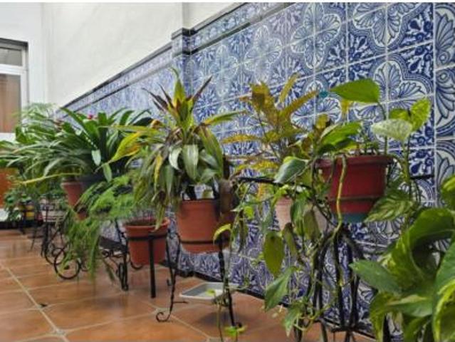 Casa Venta Montalbán de Córdoba, Montalbán de Córdoba