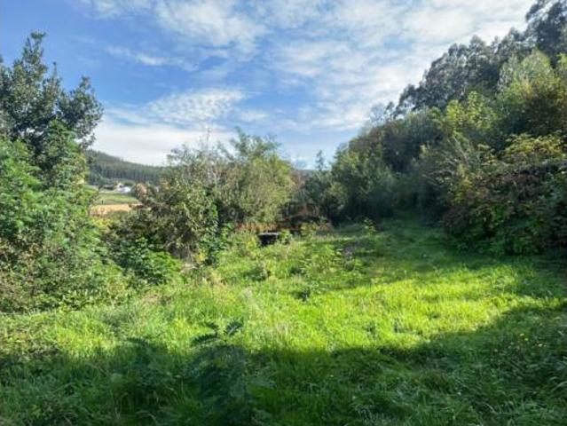 Casa Venta Narón, Sedes Pedroso Doso