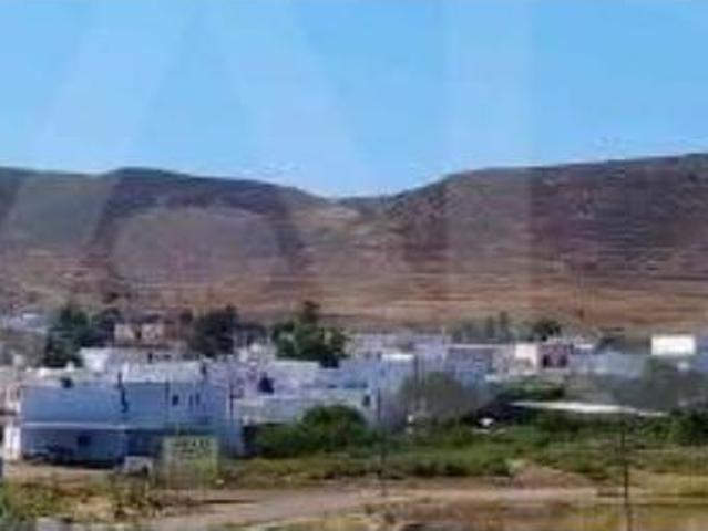 Casa Venta Níjar, Albaricoques