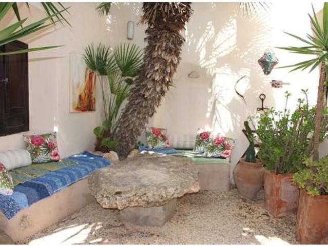 Casa Venta Níjar, Albaricoques