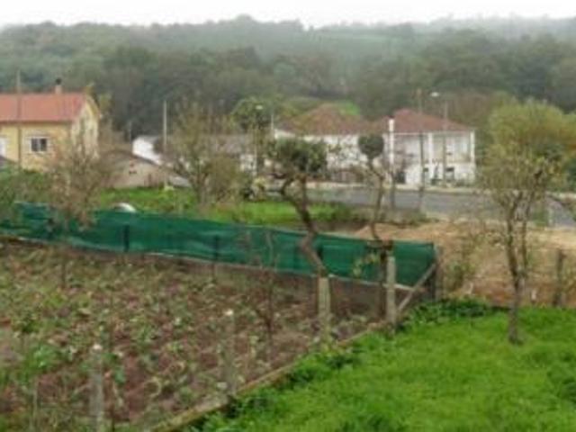 Casa Venta Coles, A Barra