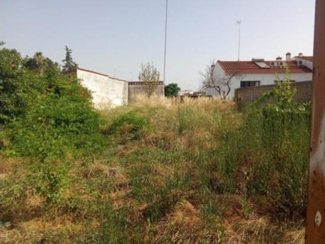 Casa Venta Olivenza, Olivenza